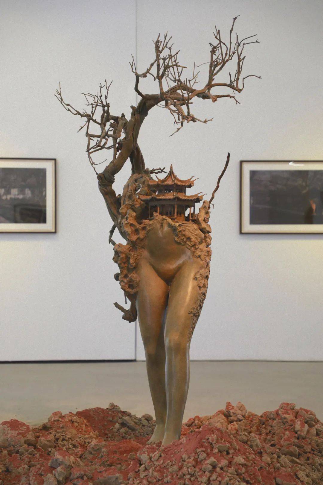 如何回归我们共同的"生态母体"—— 科普日《行走的山水》生态化行走