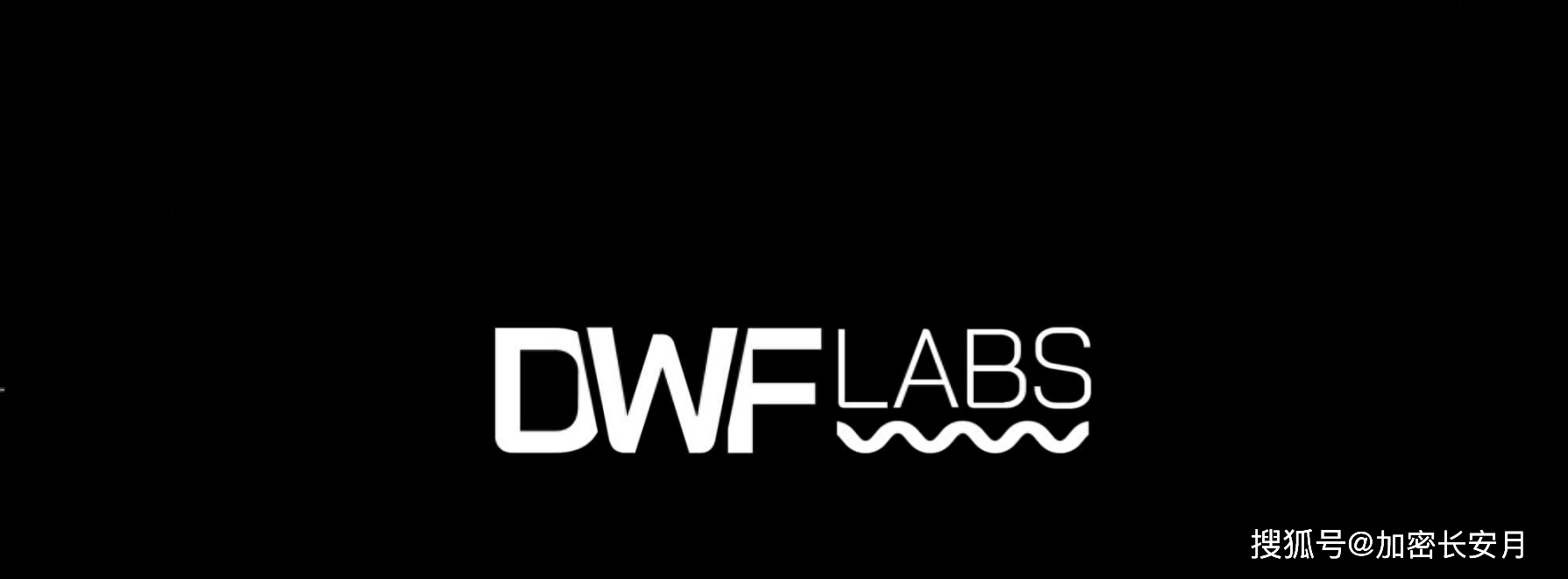 DWF Labs：加密货币做市商的黑马还是恶庄？_搜狐网