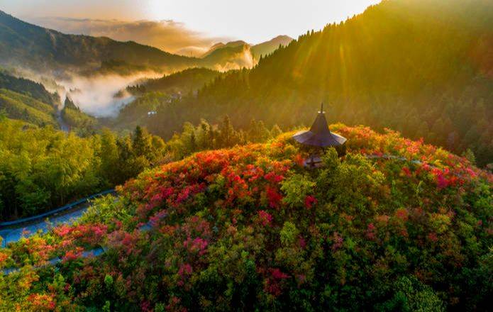 高姥山:浙东第一高峰,磐安的魅力之源_文化_历史_故事