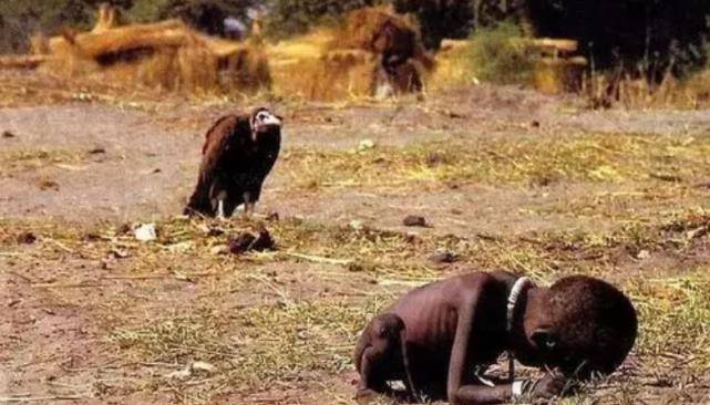 凯文_苏丹_画面