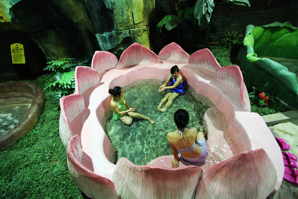 河北隆化:"赏红叶 泡温泉"秋季旅游活动启动_茅荆坝_森林_枫叶