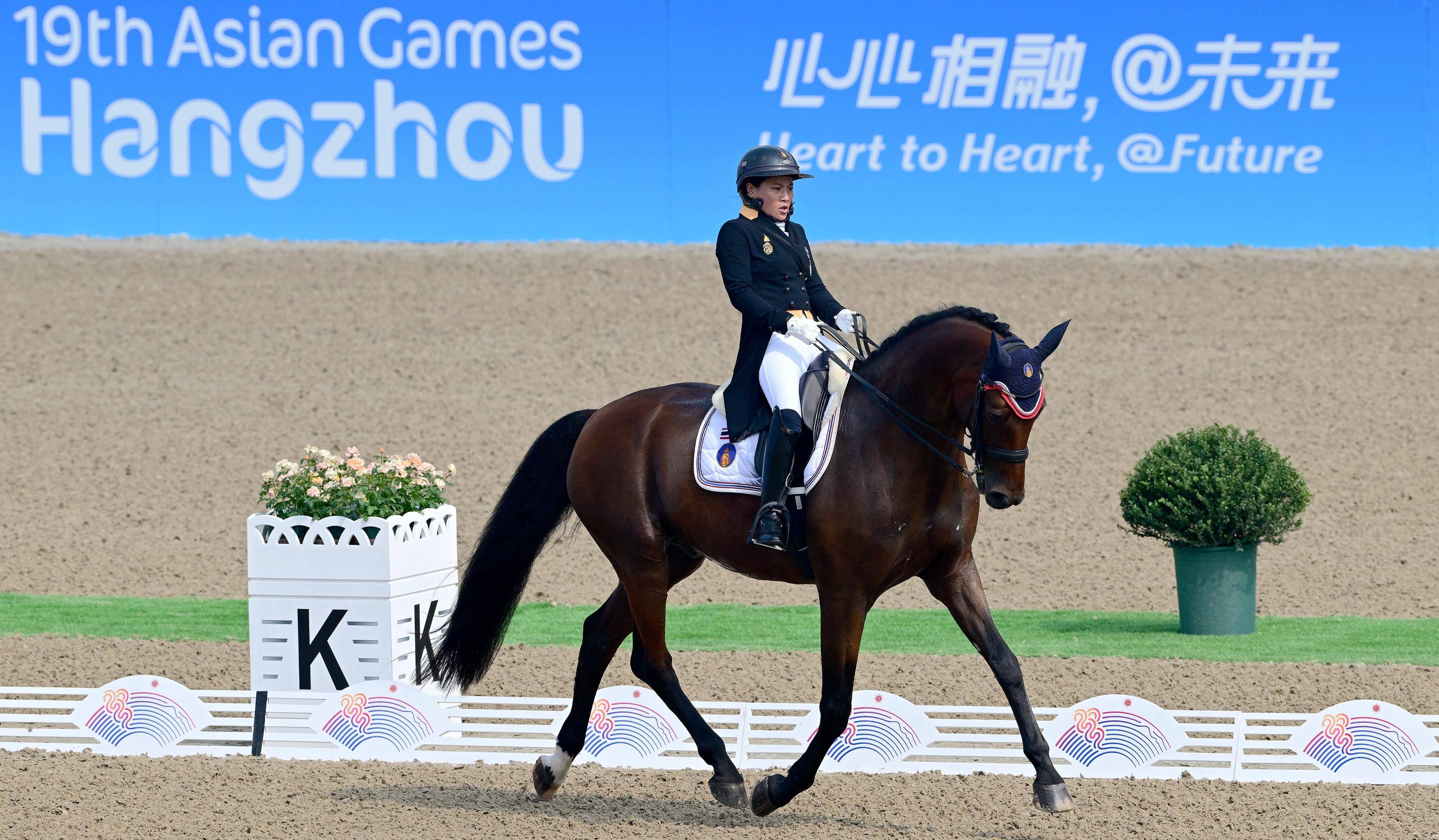 马术——盛装舞步个人赛赛况_比赛_新华社_杭州