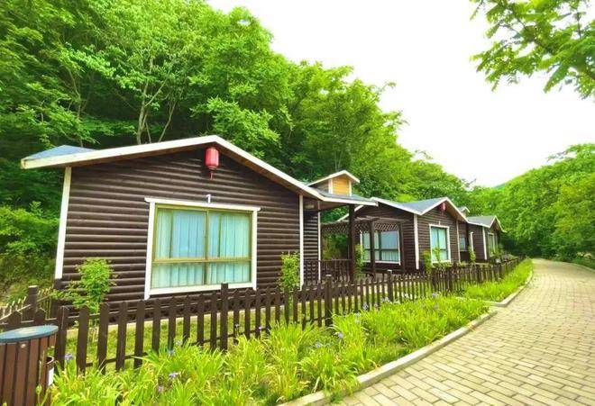 民宿(苹果嘉年华活动)→银杏树广场→吃特色鱼宴→故县镇西子湖→故县