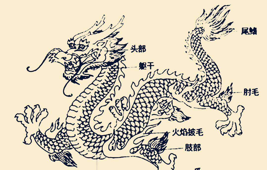 夏朝之际,先后出现"豢龙氏"和"御龙氏",操控着一