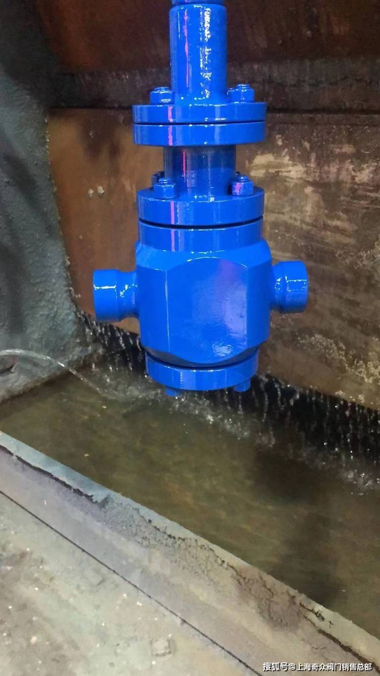 wc6高温高压耐热铬钼钒钢蒸汽锻压减压阀_压力_调节_应用