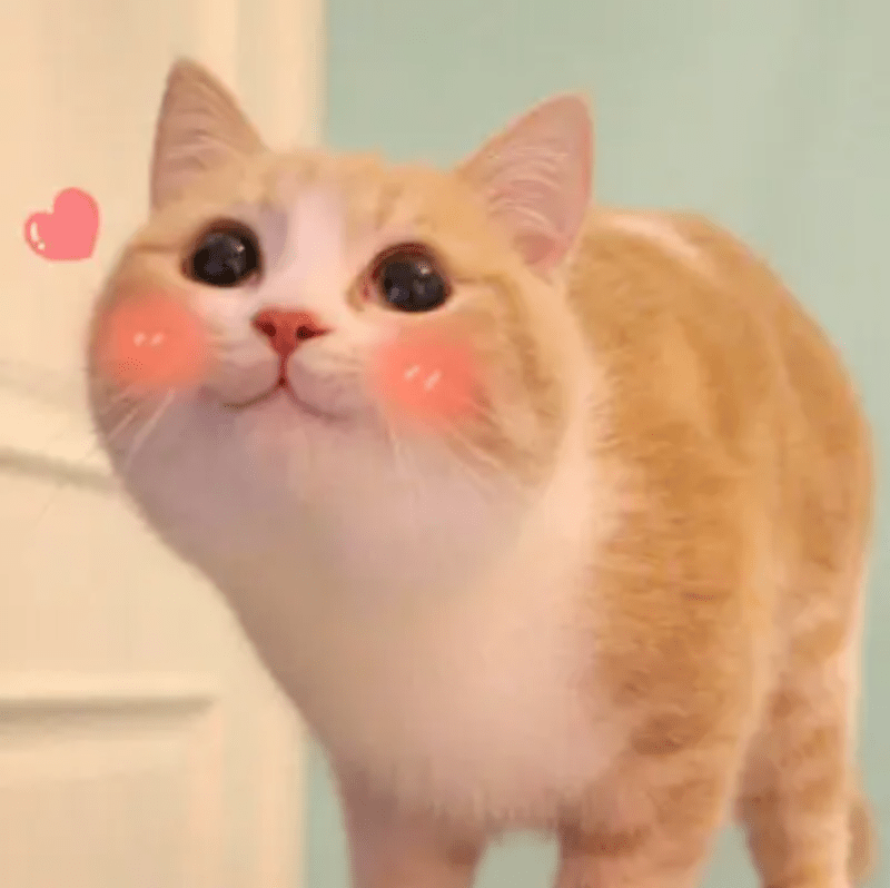 柏丽慕达时装学院_ELEVENTEN留学辅导_柏丽慕达时装学院服装设计硕士申请经验