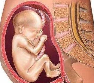 孕妇的阴道,阴部,子宫颈这些部位血流量旺盛,组织水分增多,因而分泌物