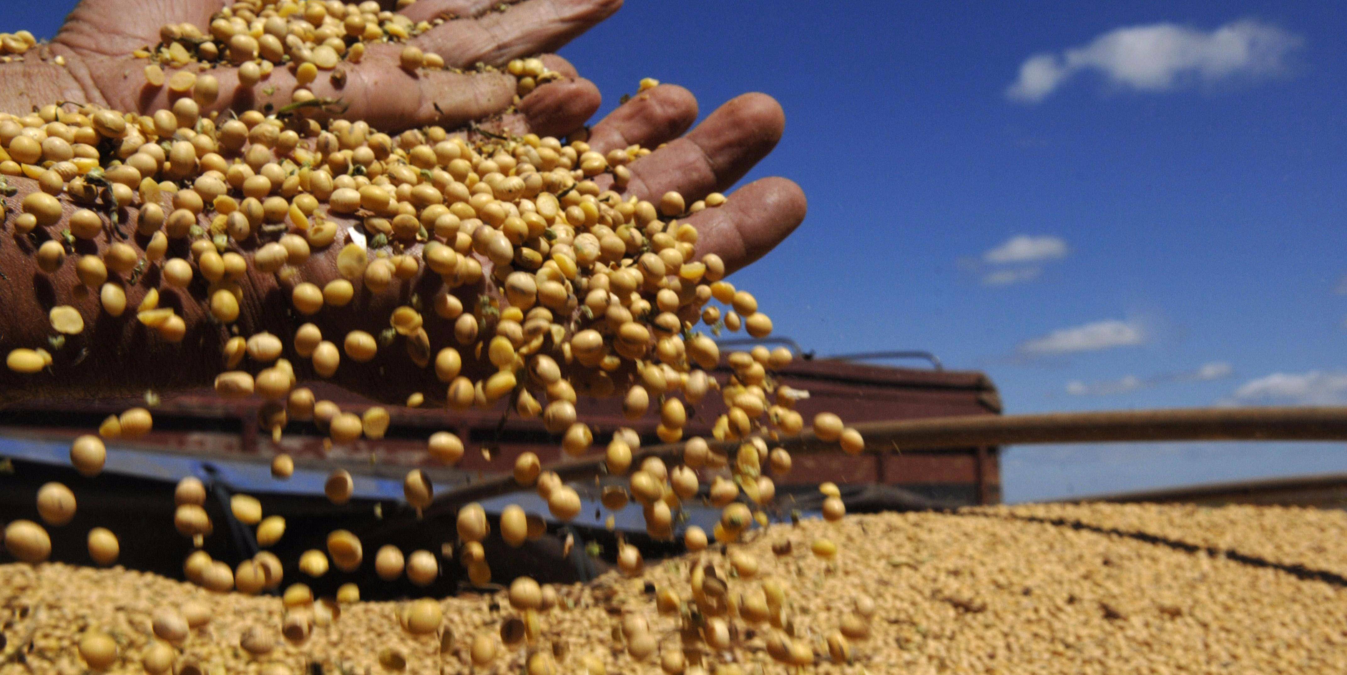 一举变成最大的大豆进口国,80%左右的进口大豆,都来自美国和南美洲