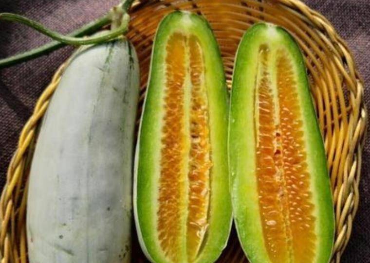 买羊角蜜不会挑?2分钟教会你,学会这4招,保证挑的都又香又甜