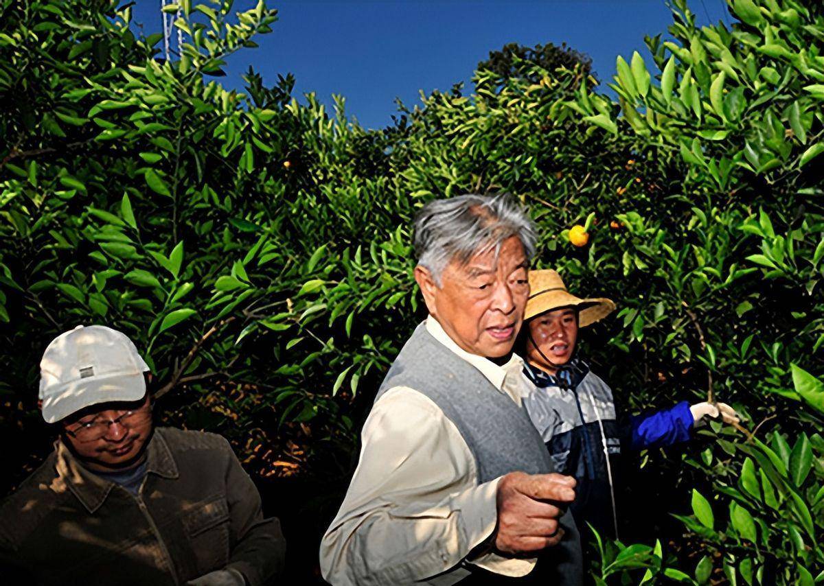 褚时健弟子邱建康出任烟厂厂长,再创辉煌,褚说:做事比我还认真_工作