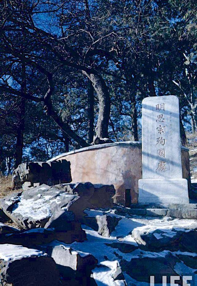 崇祯皇帝自缢处:两块寒酸石碑,一棵老歪脖子树,充满了无尽悲壮_北京