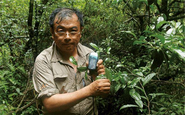 "猴娃"曾繁胜:曾被认为是野人后代,专家对其尸检后有何发现?