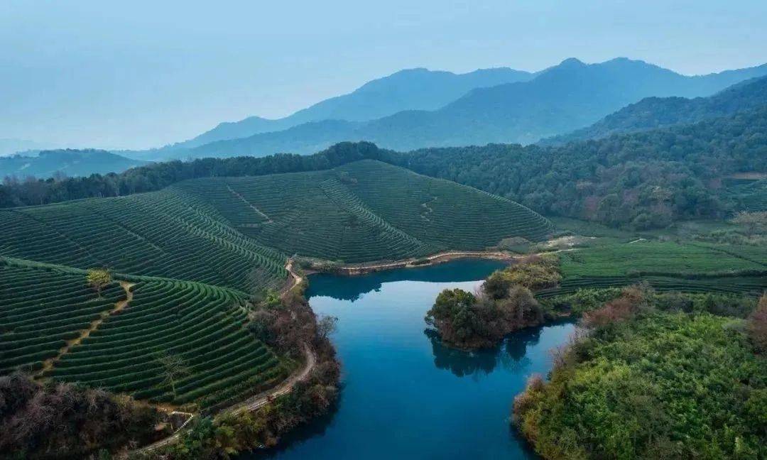 请看龙坞茗筑图文解析↓_茶镇_西湖区_实景图