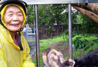 88岁老奶奶18年来不间断餵食流浪猫狗,只因不忍心它们挨饿 88岁老奶奶18年来不间断餵食流浪猫狗,只因不忍心它们挨饿