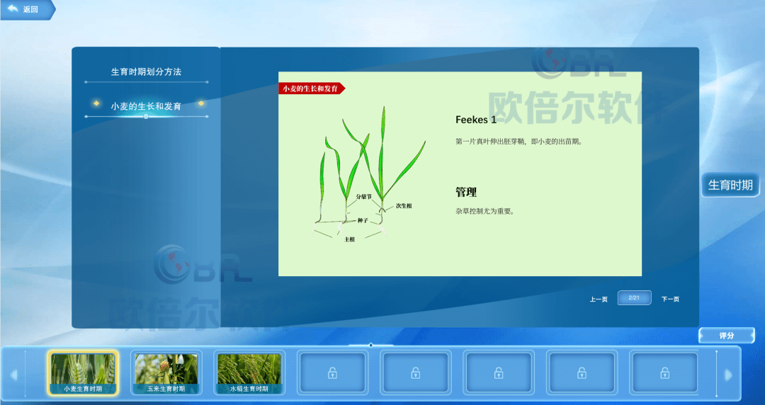 农业教学新工具：种子生产虚拟仿真软件的探索与应用