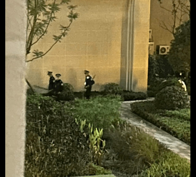 学校的流浪狗因举报被打死,被抓走前它还在网兜里笑,以为有家了 学校的流浪狗因举报被打死,被抓走前它还在网兜里笑,以为有家了