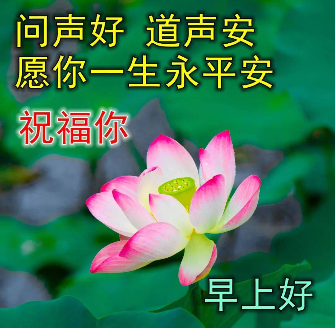 9张暖心早上好问候动态表情图片带字带祝福语 秋日清晨早安问候祝福语简短语句