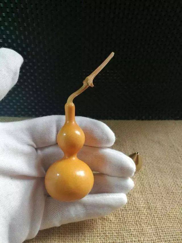 刚买回来的文玩葫芦,一定不能着急上手,因为文玩葫芦在商家处的时候