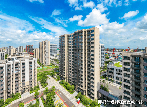 上港星江湾开启认购!_项目_空间_景观