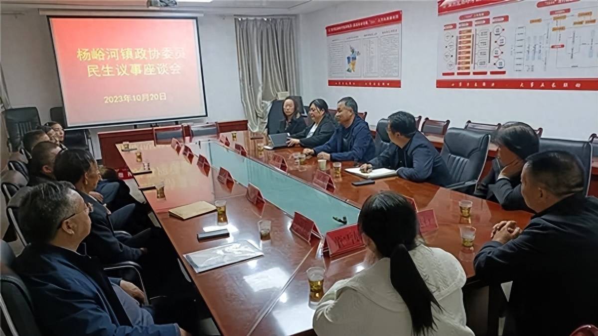 商州:杨峪河镇民生议事会为康养民宿产业发展"议"出新思路_工作_会议