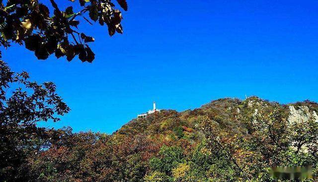 关山湖是唯一集"山,水,枫,湖,船"为一体的自然风景名胜区_湖景区_枫林