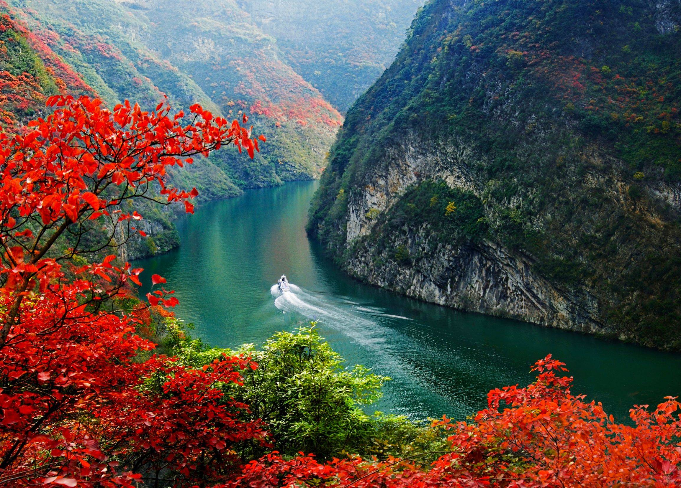 曾经沧海难为水,除却巫山不是云,这云雨里孕育的红叶美出天际