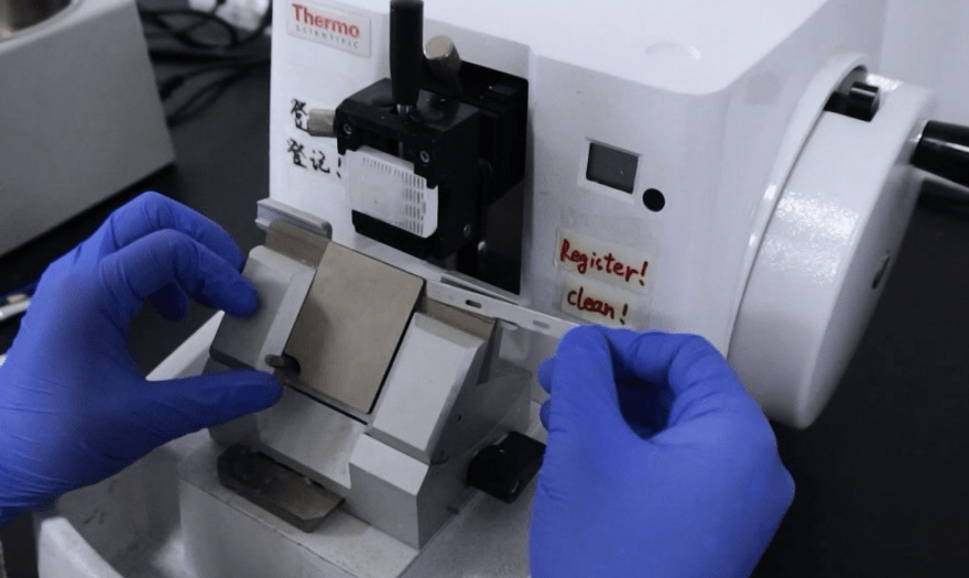 实操视频 | 石蜡切片制作之切片与展片的具体实验步骤与注意事项