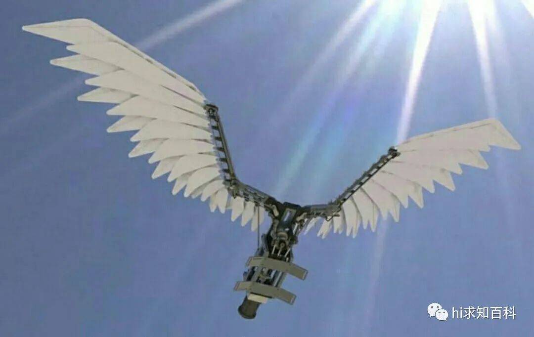 中国西工大成功造出仿鸟飞行器,连续飞行2小时引发美国关注!