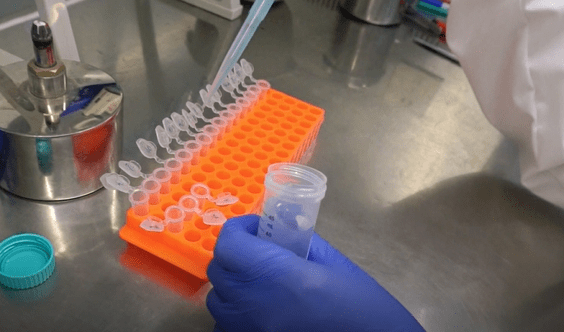 实操视频 | 细胞凋亡具体实验步骤与注意事项_服务平台_特征性_技术