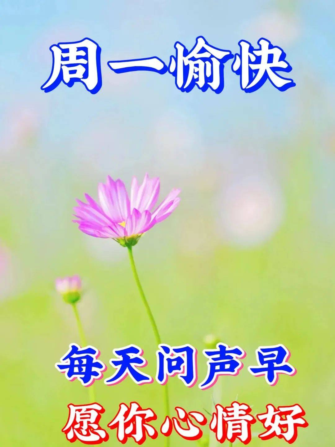 原创            10月30日星期一早上好，创意温馨的早安图片带字精选祝福语