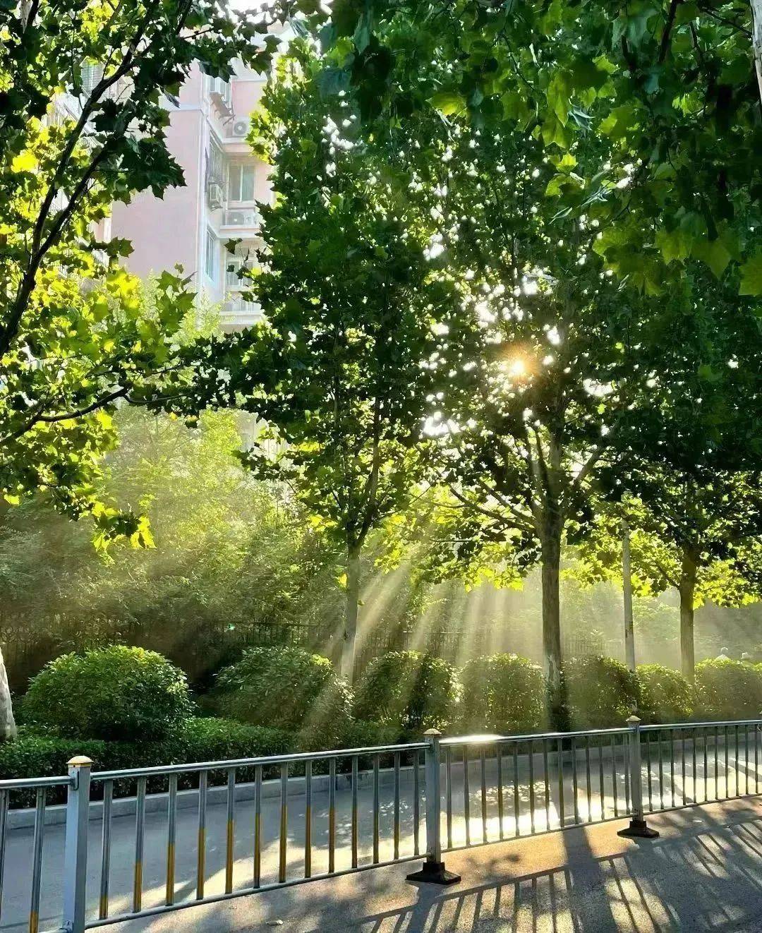 邻水太阳出来啦,来感受秋日暖阳