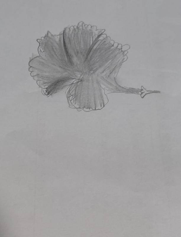 水粉 《党旗飘扬,庚续红色血脉》 刘佳音 6长春科技学院 油画 《序》