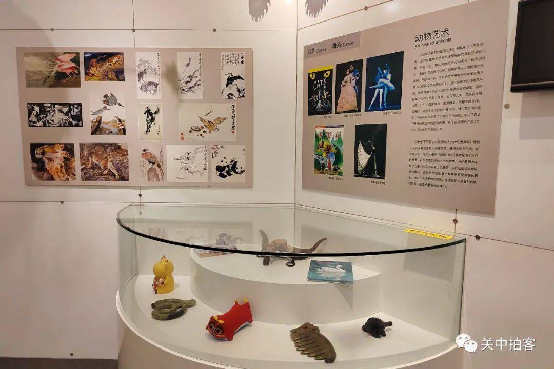 生命长河:参观国家动物博物馆(中国科学院动物研究所标本展示馆)_展厅