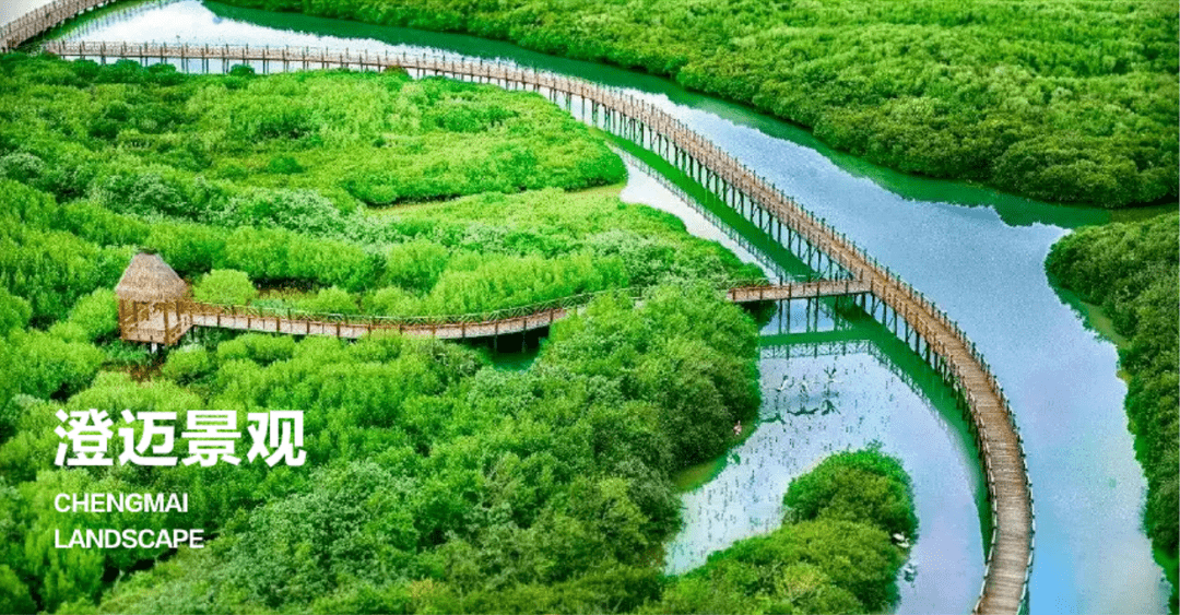 海南澄迈菏建海景湾售楼部房价最新特价房户型图