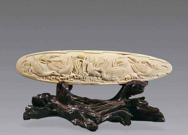 美女带估价3000万的宝贝,鉴定专家看了着干急,网友:买卖违法_象牙