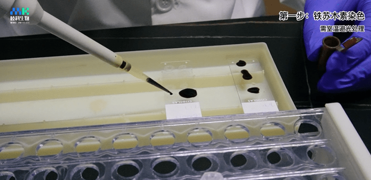 实操视频 | 马松(masson)染色实验操作细节演示_min-_弱酸_配置