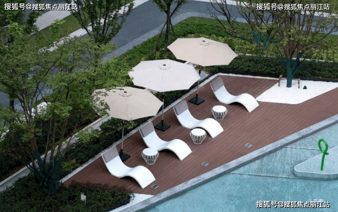 壁纸 动物 狗 狗狗 1080_676