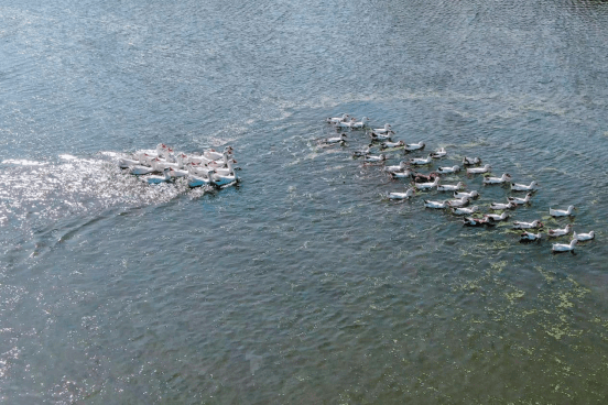 镇平县赵河湿地公园图片