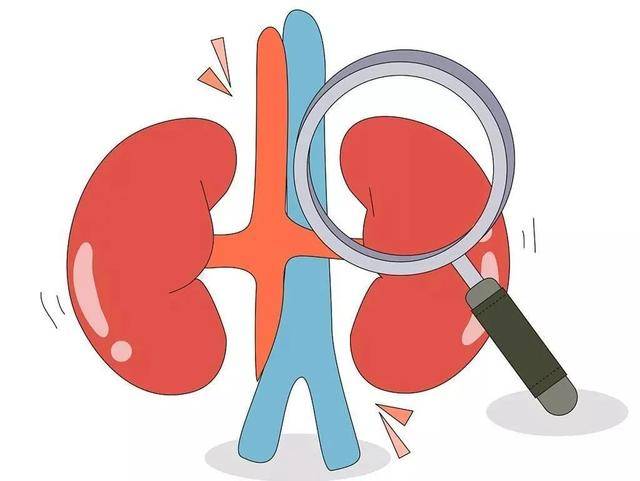 男人一天排尿次数接近"这个数",或说明"尿毒症"离你很远