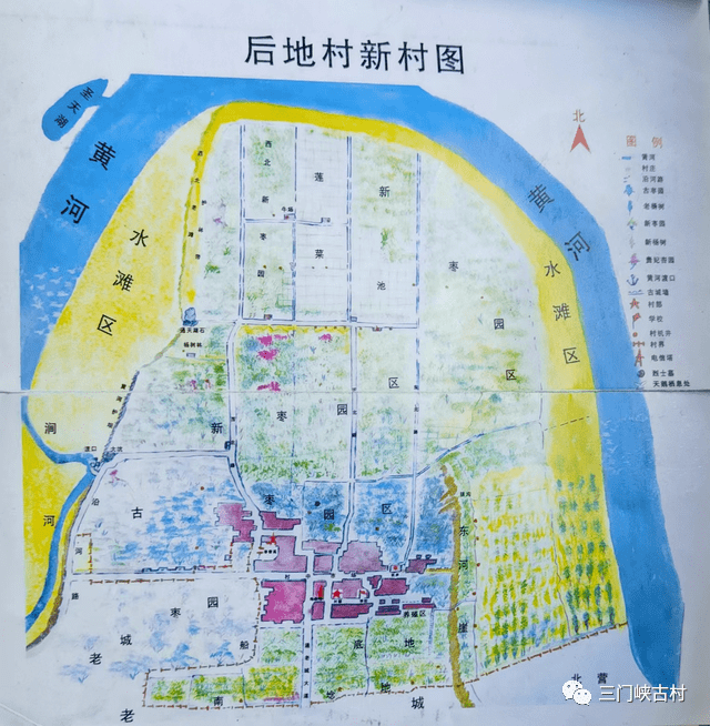 走进大王镇枣乡后地村_摄影_黄河_白天鹅