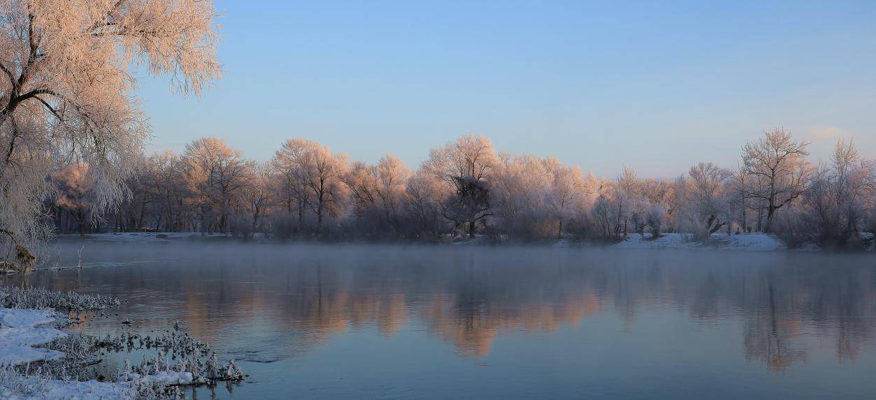 雾凇林里的驼影(海拉提·哈拜摄影)银树之下(海拉提·哈拜摄影)(傅轩)