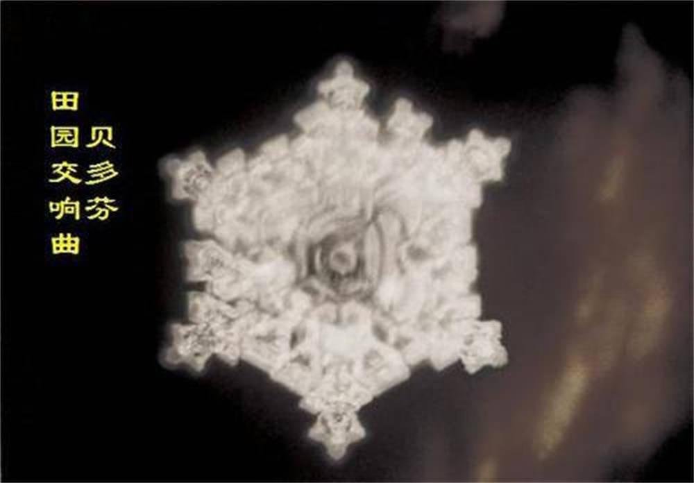 从水结晶图片演绎关于念力的若干根本问题