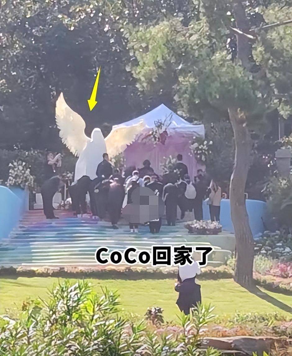 现场布置唯美如天堂,多位亲友现身太感人!_武汉市_公园_天使