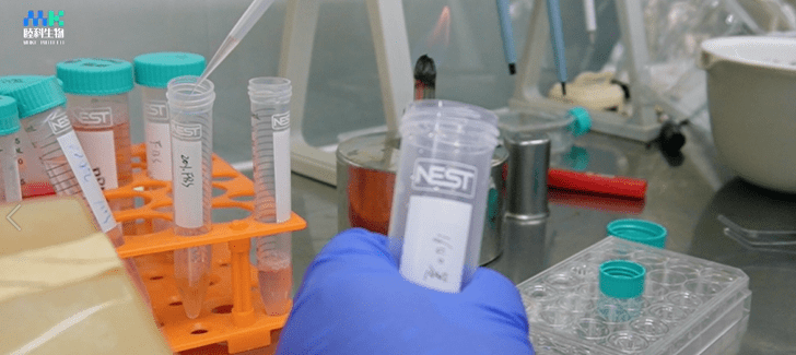 transwell细胞迁移的实验操作全过程具体演示_培养液_培养基_小室