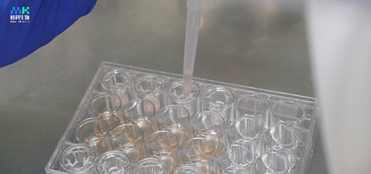 transwell细胞迁移的实验操作全过程具体演示_培养液_培养基_小室