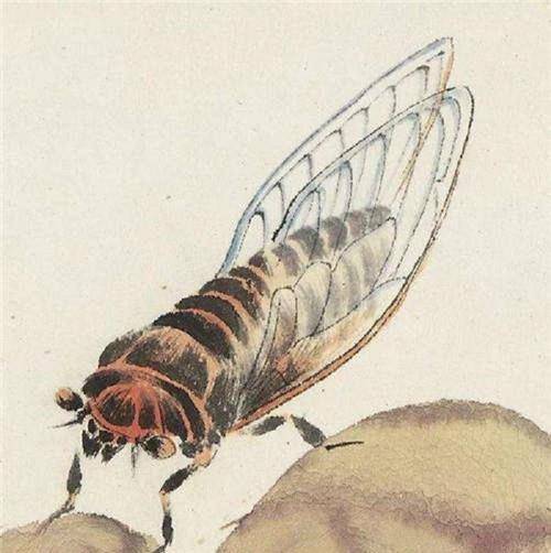 本《花卉草虫册》,拍出7280万天价,专家:你看那蝉_齐白石_纯芝_胡沁园