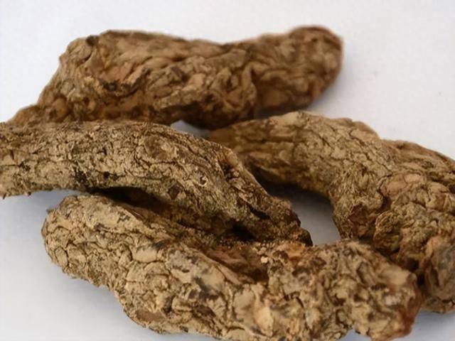 地黄是其中不可或缺的,那么今天就来看看,生地黄熟地黄的区别