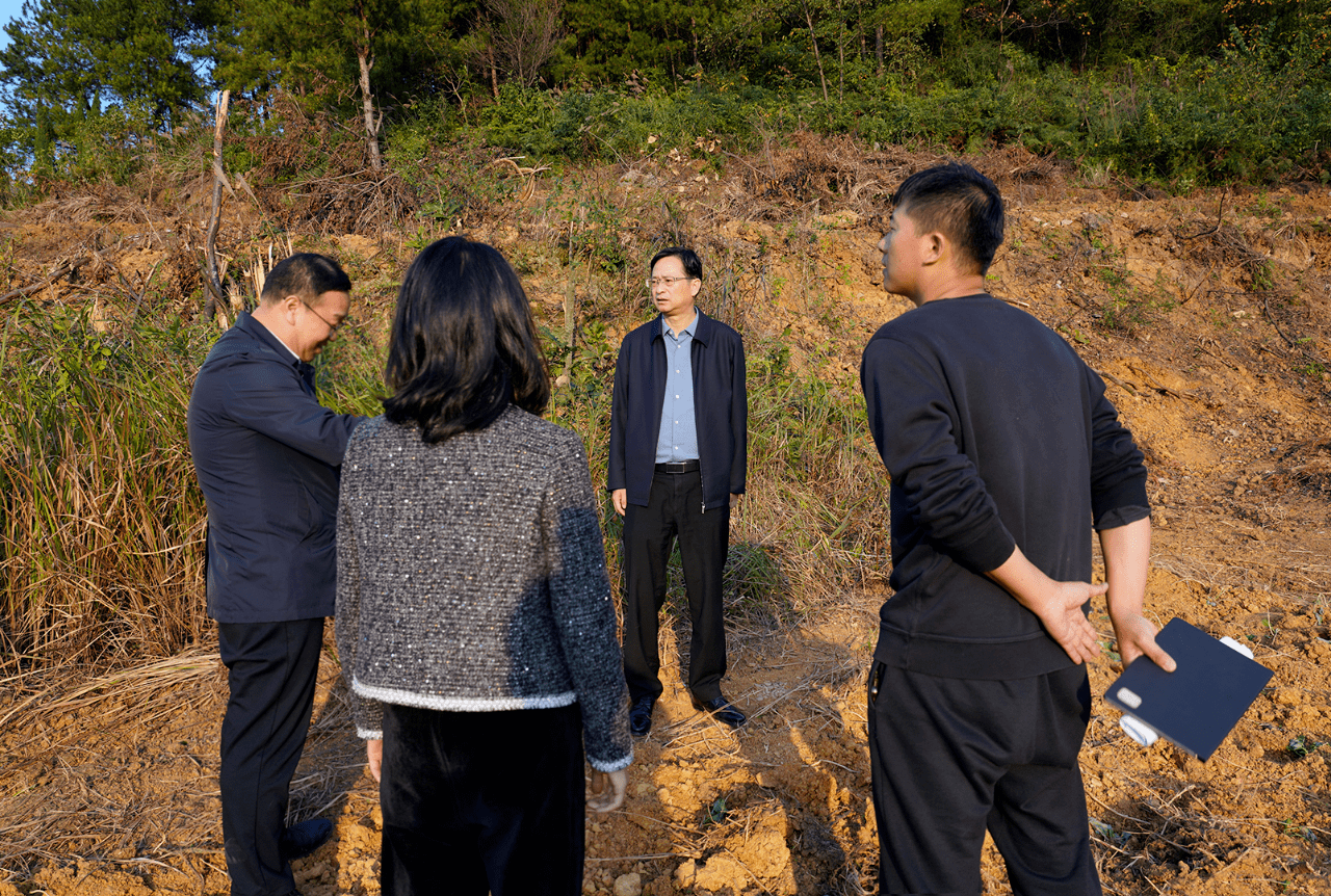 清镇市委书记付涛调研督导耕地保护和粮食安全工作_卫城镇_问题_农业