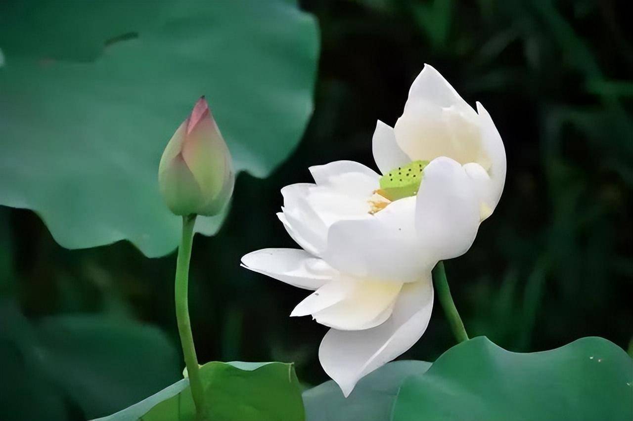 六十岁后,这三种荒唐事揪住你,未来晚景凄凉避免不了!_社交_关系_问题