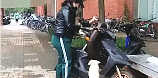 其中一只小狗被送走了，后一只去了狗妈妈去的地方，生怕丢了他 